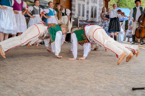 20250706182459-DSC 6931